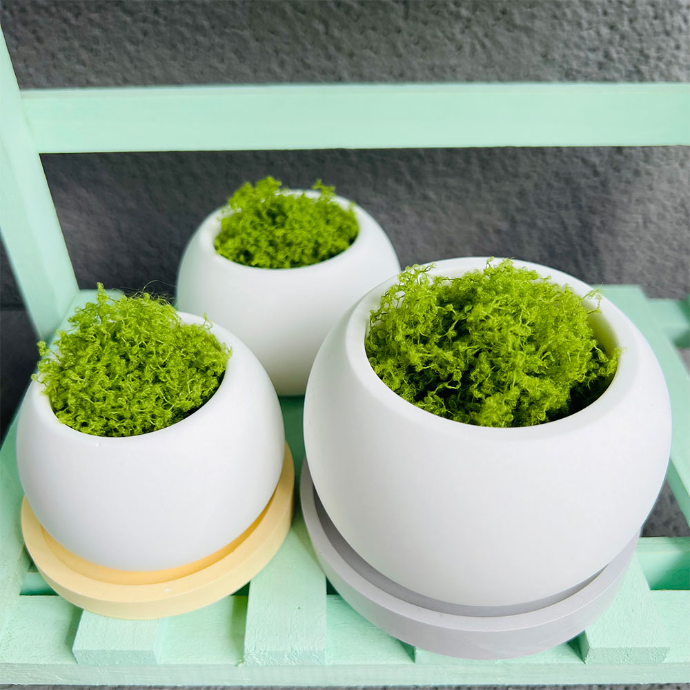 Spherical Flowerpot Silicone M - Potsticker Mold review and price